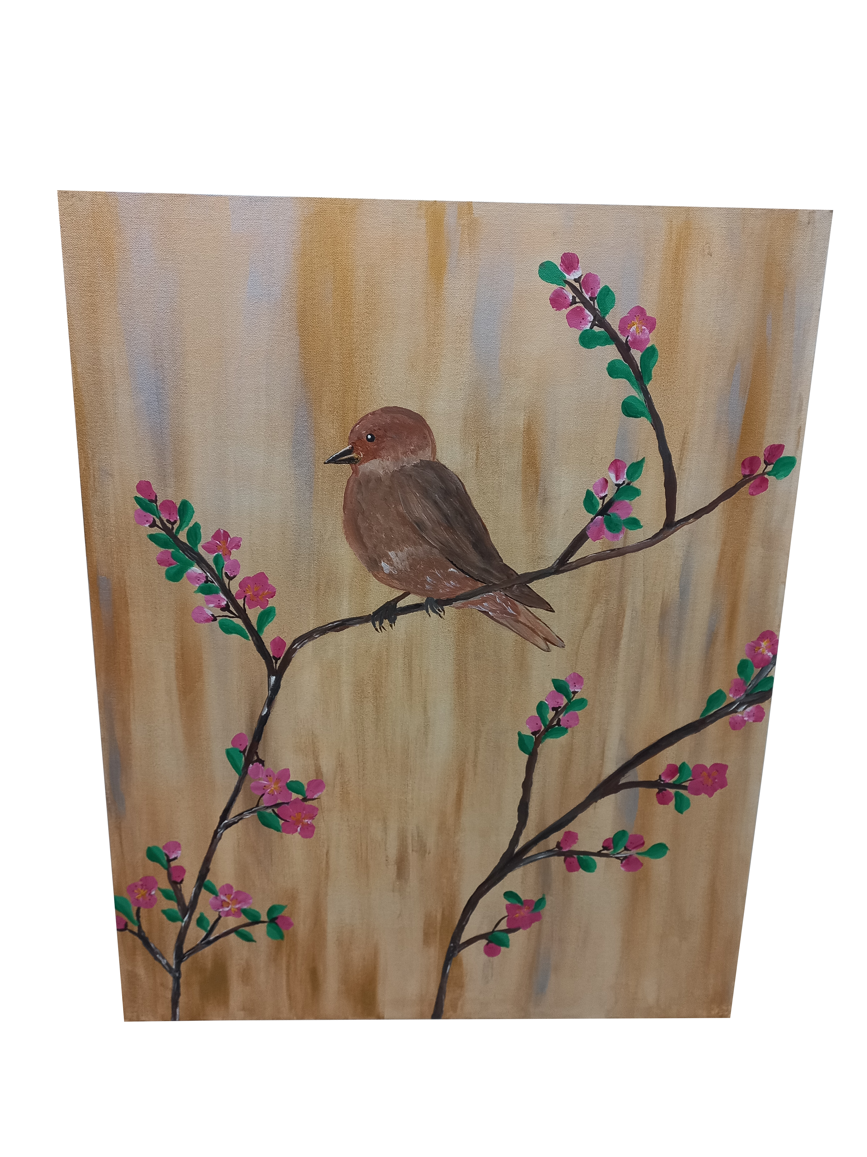 Sparrow